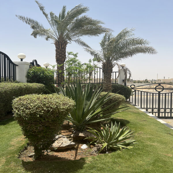 Pest Control at Habitas Alula