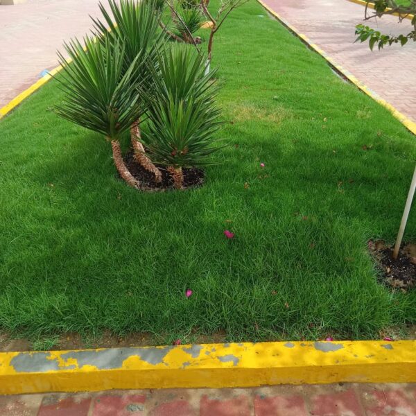 Pest Control at Habitas Alula